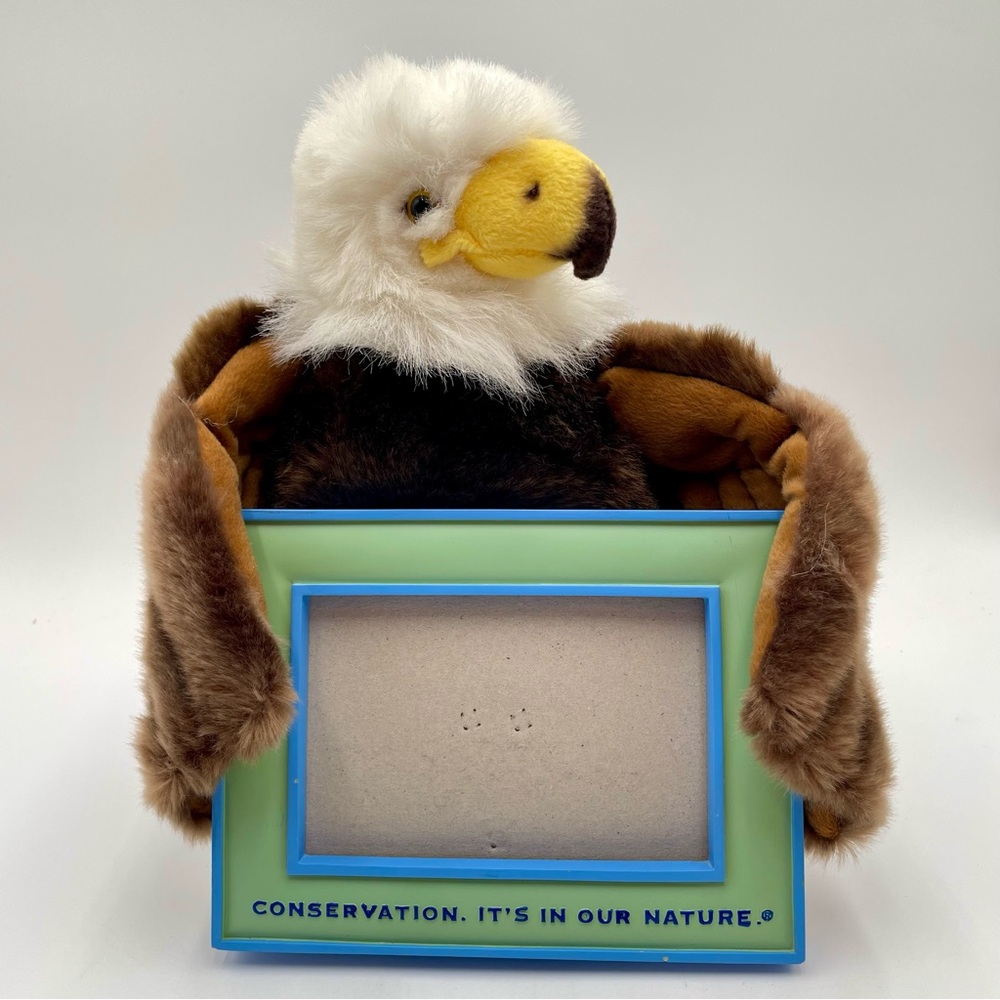 Eagle Plush With Frame Sea World Busch Gardens Conservation Minded Souvenir